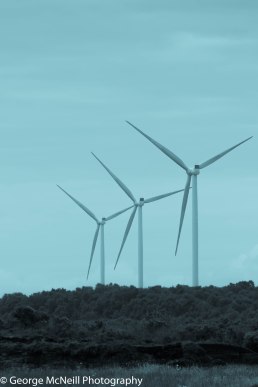 Synchronized dance and song off the wind giants.