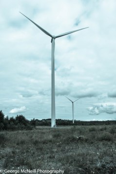 Like looking in a mirror at it's own reflection.