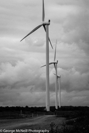 Giants on guard, watching the path to the eastern car park.