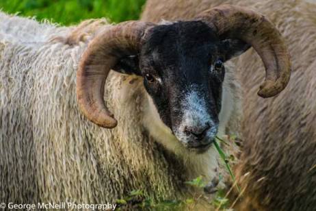 365 Shutter Release Challenge 2015. Day 2