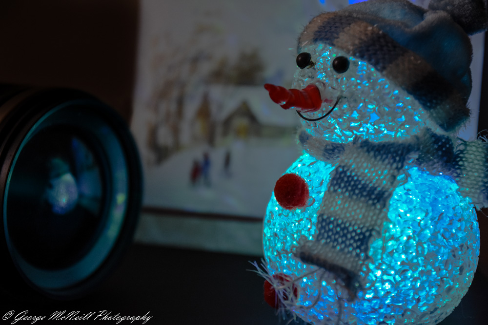 365src14.12.2015