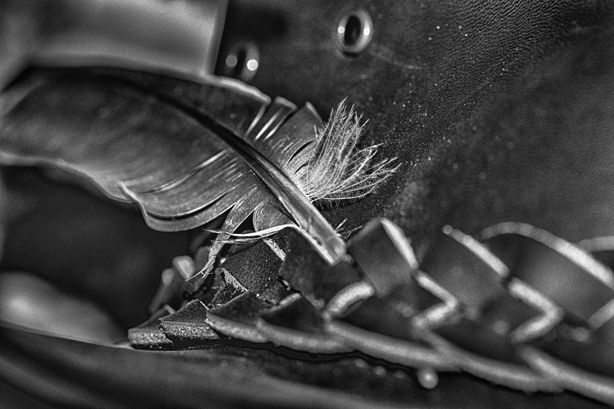 _DSC2345-Edit