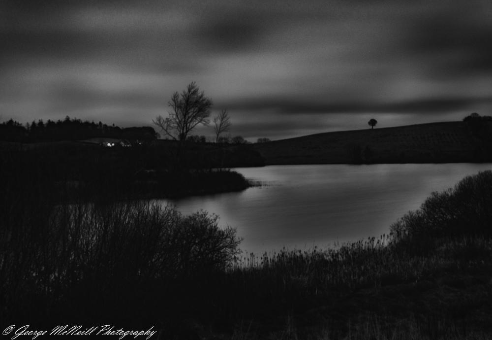 365src09.02.2016c.JPG