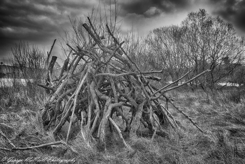 365src12.02.2016hdr.JPG