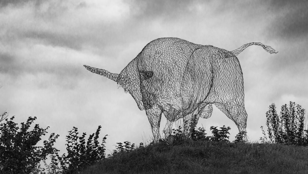 365src21.10.2016z.JPG