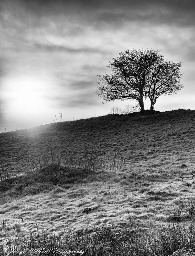 Standing pair hdr1.JPG