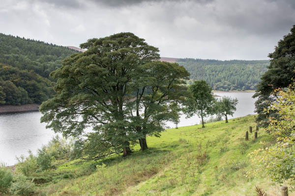 Scotland & Peak-4.jpg