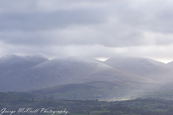 Wild life 3-1708.jpg