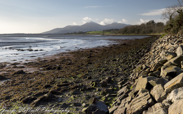 Wild life 3-2056.jpg