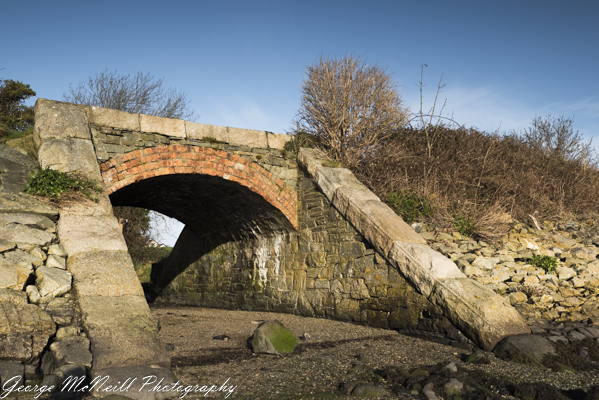 Wild life 3-2060.jpg