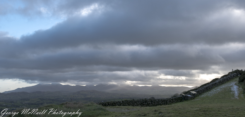 Wild life 3-2074.jpg