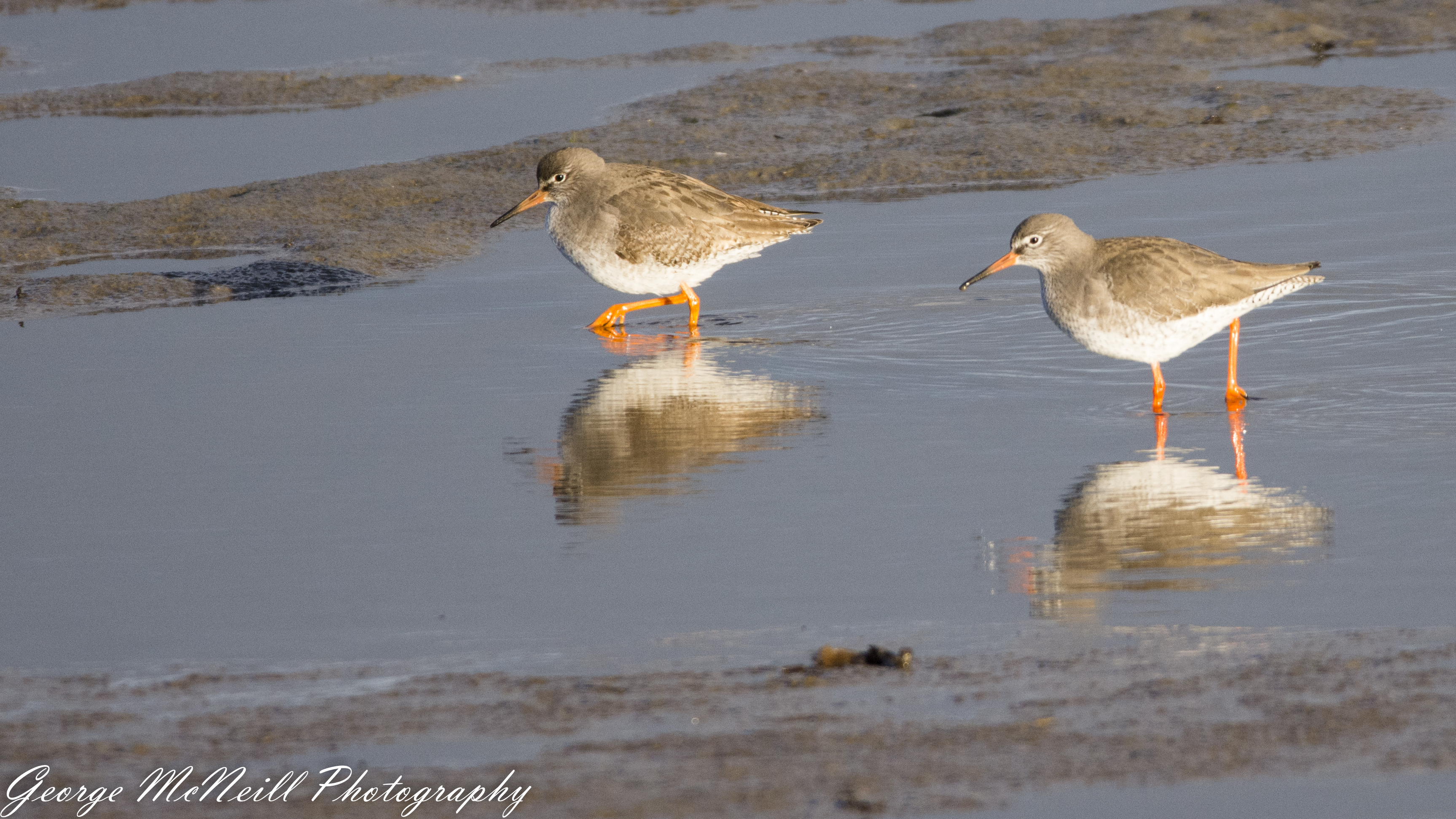 coast 2017-1896-2.jpg