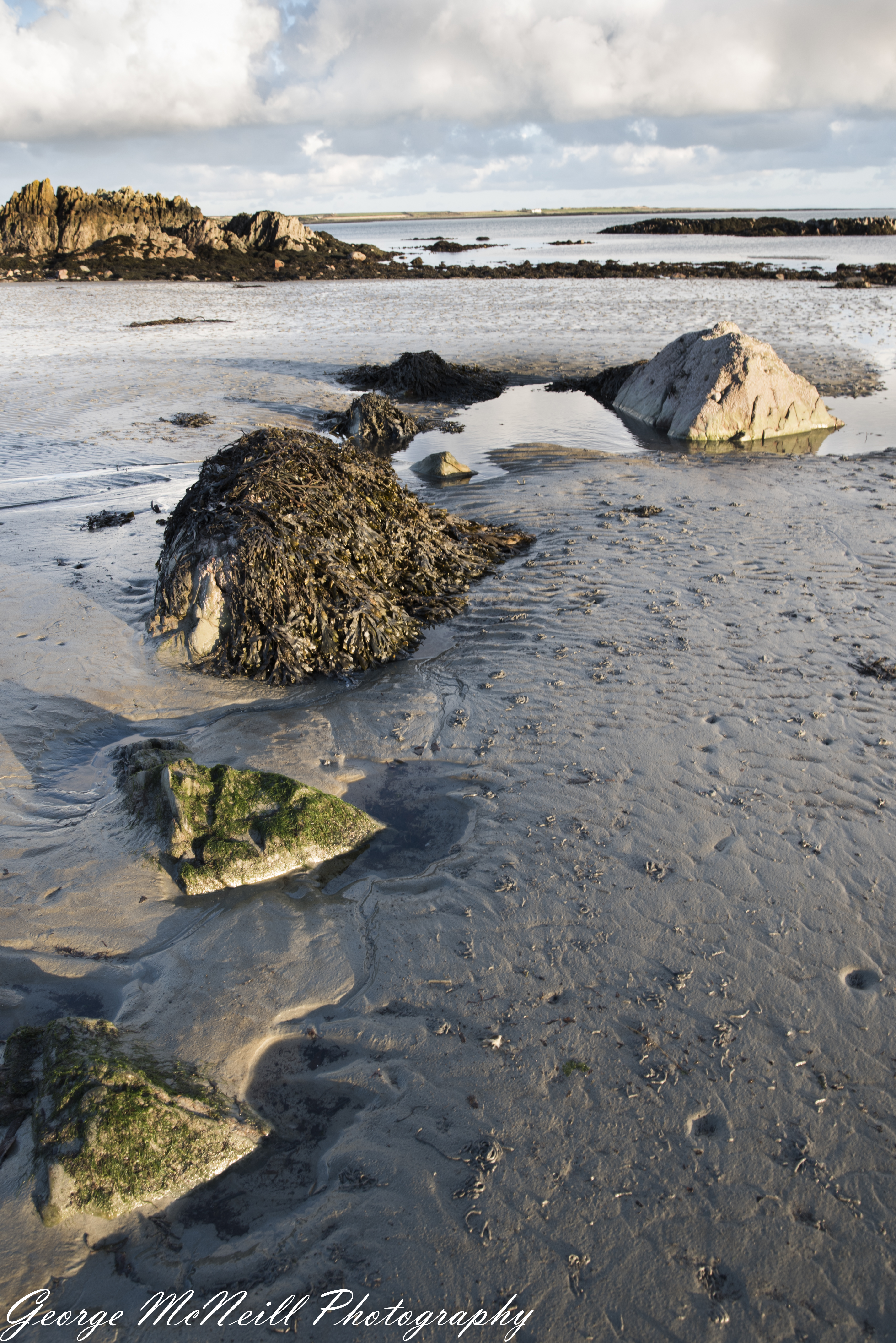 coast 2017-2132-2.jpg