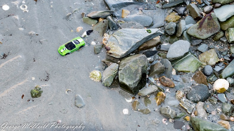 coast 2017-2150-2.jpg