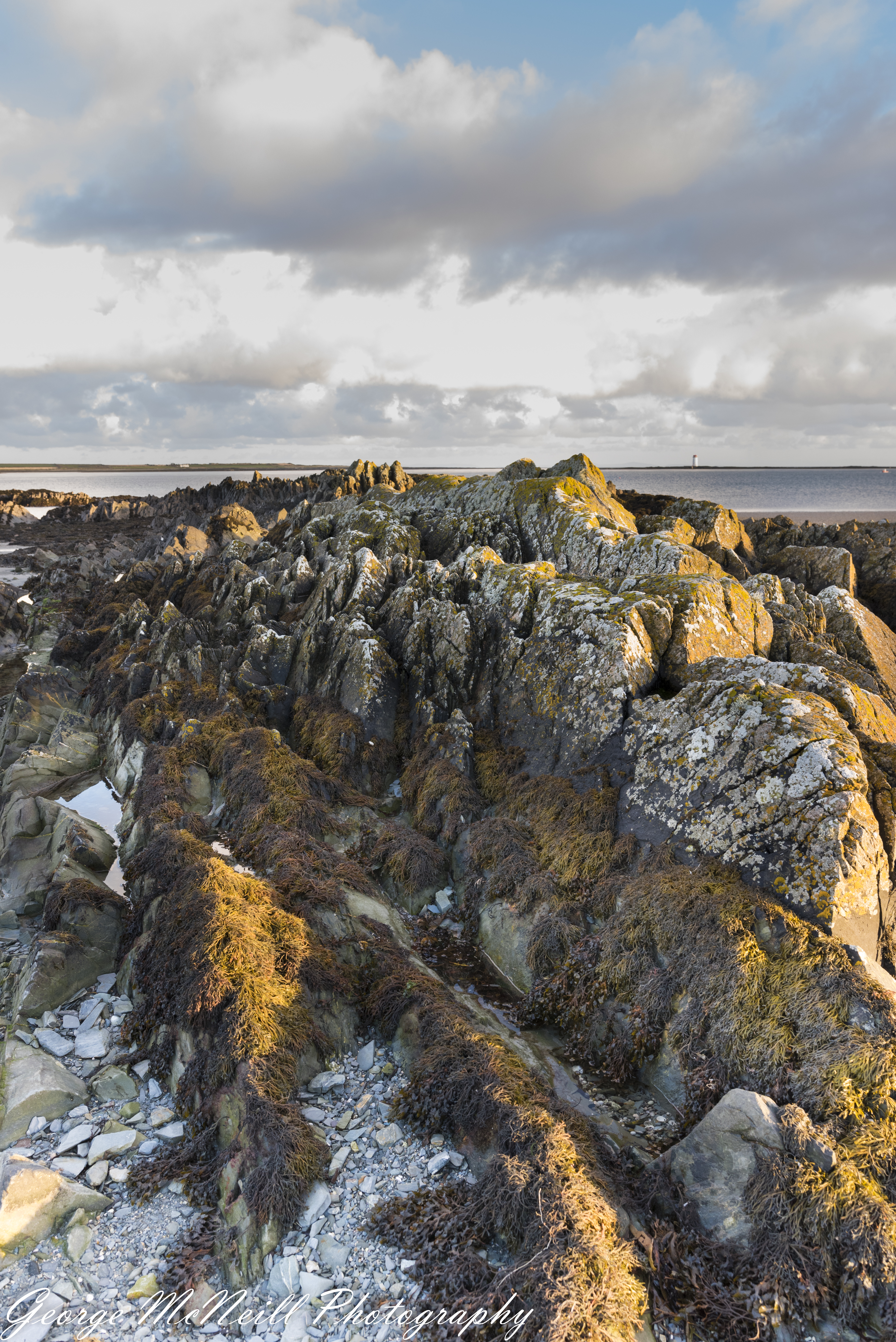 coast 2017-2152-2.jpg