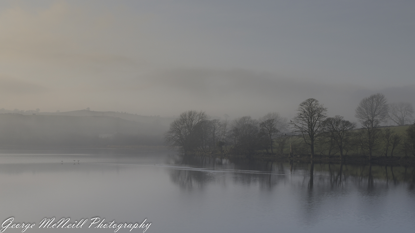 mist 01.2018-2195.jpg