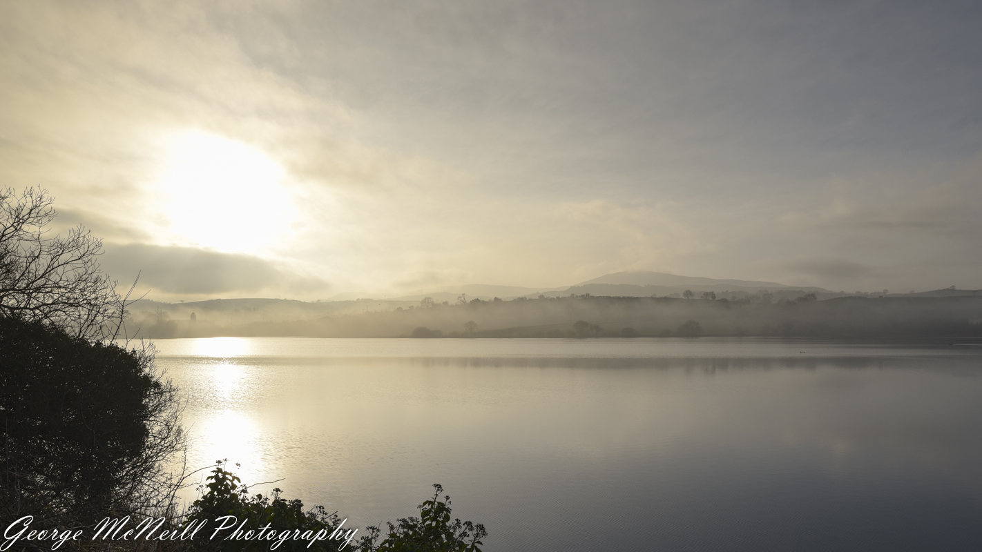 mist 01.2018-2197-2.jpg