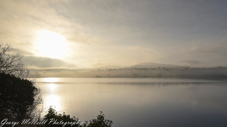 mist 01.2018-2197-2.jpg