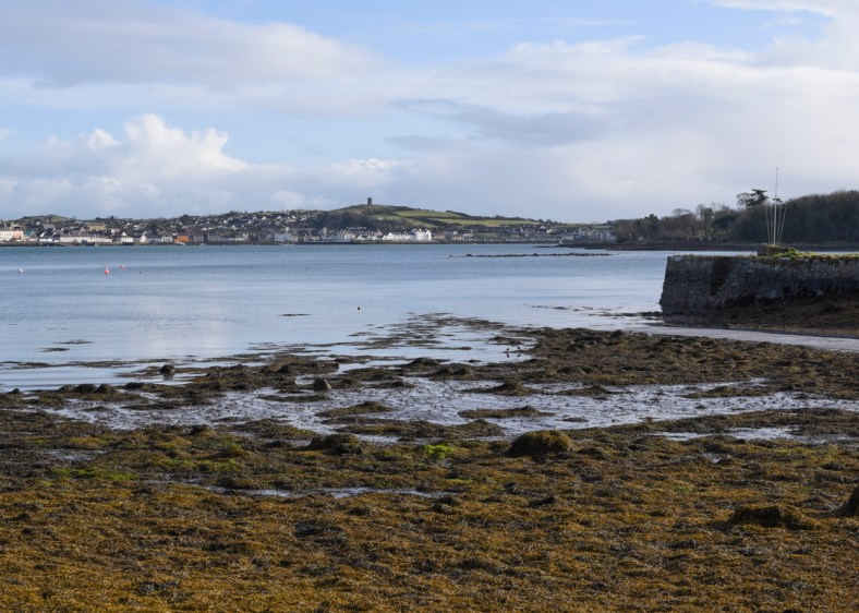 Castle Ward 2018-2253.jpg