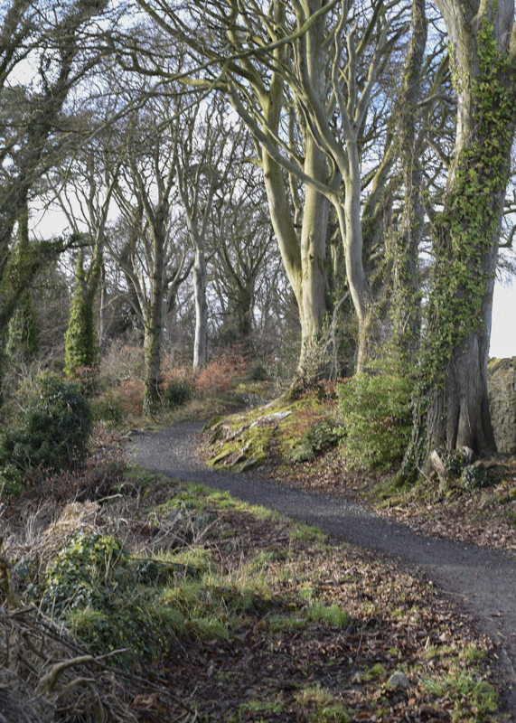 Castle Ward 2018-2279.jpg