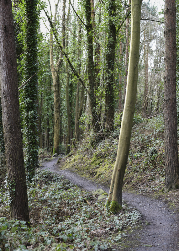 Castle Ward 2018-2291.jpg