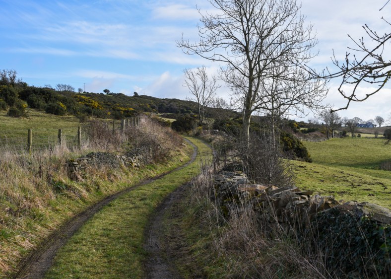 Castle Ward 2018-2303.jpg