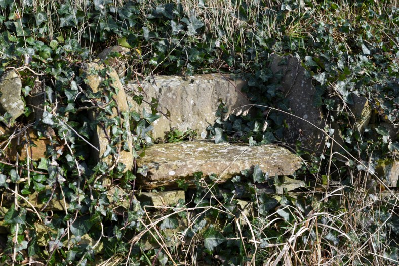 Castle Ward 2018-2304.jpg