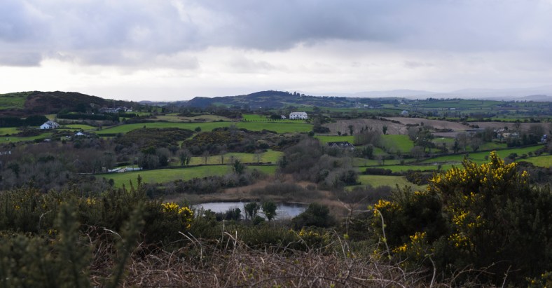 Castle Ward 2018-2310.jpg