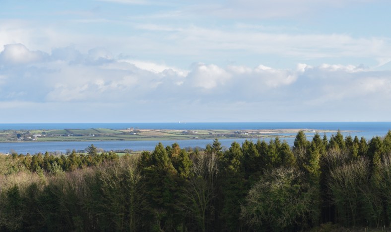 Castle Ward 2018-2315.jpg