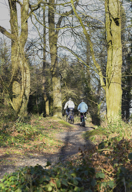 Castle Ward 2018-2328.jpg