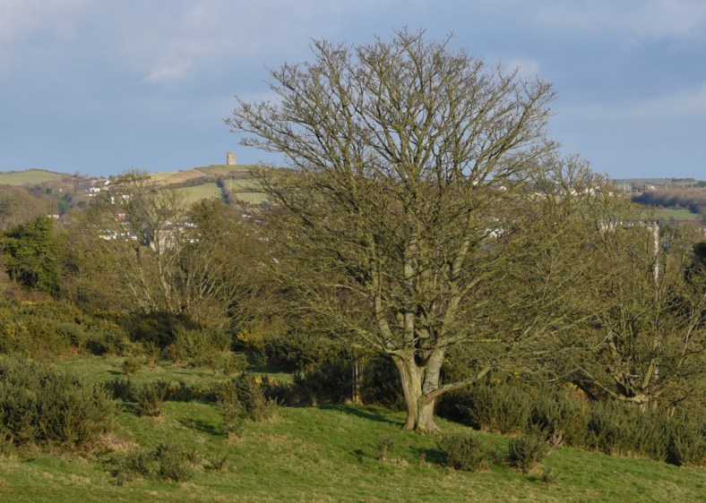 Castle Ward 2018-2345.jpg