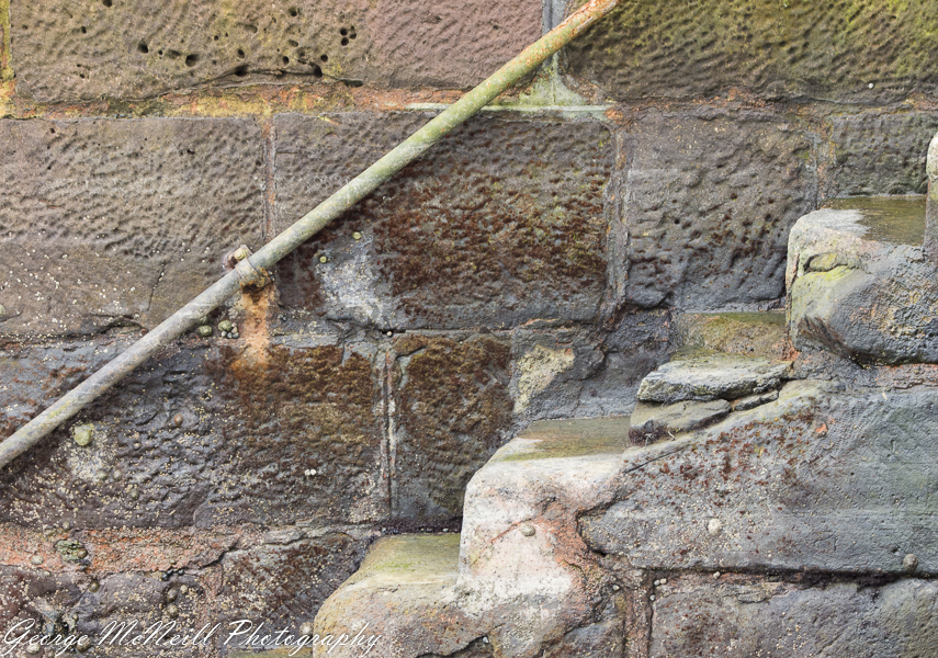 Castle Ward 2018 george-2247.jpg