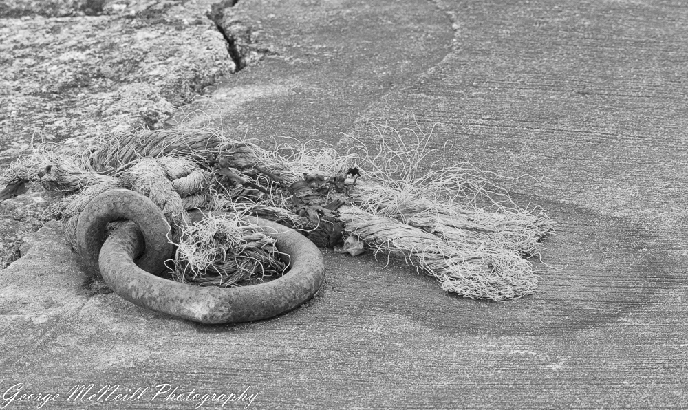 Castle Ward 2018 george-.jpg