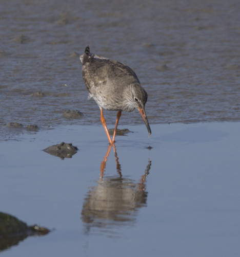 Coast 14.4.2018-2908.jpg