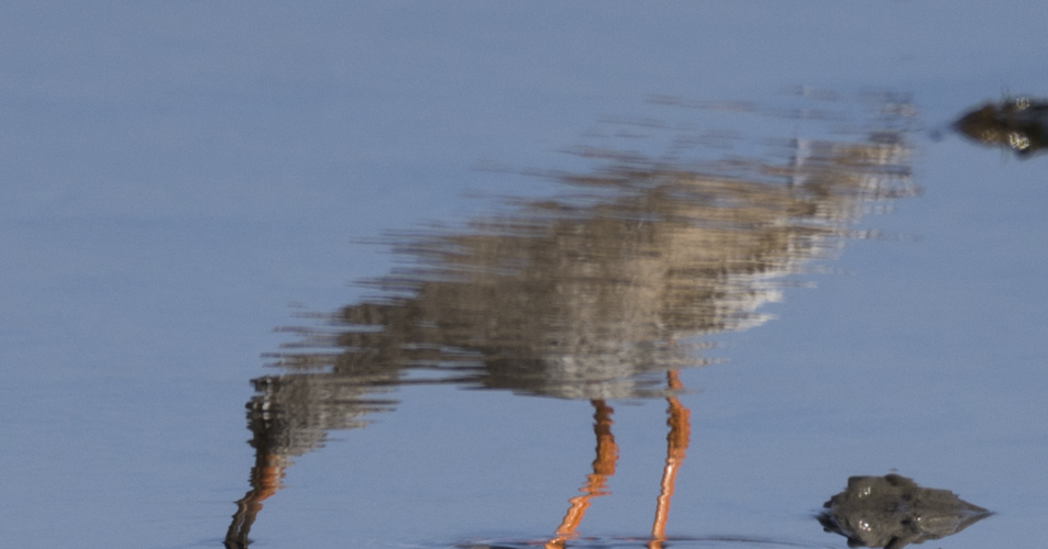 Coast 14.4.2018-2909.jpg