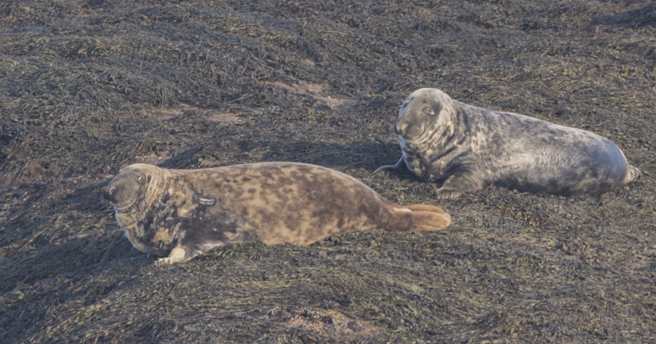 Coast 14.4.2018-2957.jpg