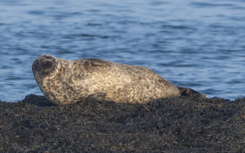 Coast 14.4.2018-3009.jpg