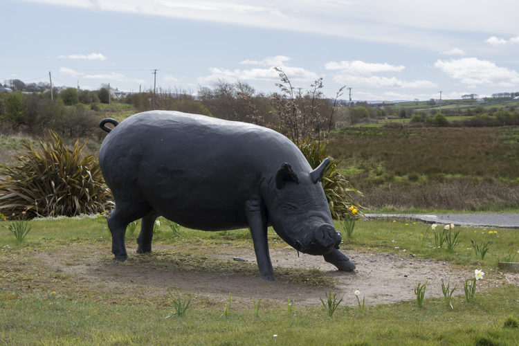 Photo rally 2018-3225.jpg