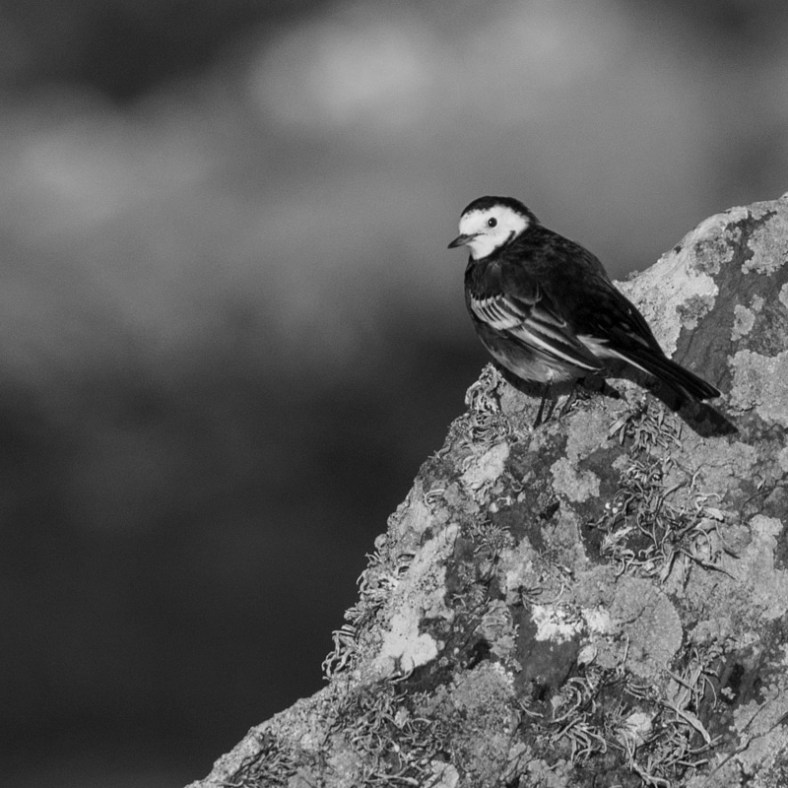 IMG_20180127_201912_183